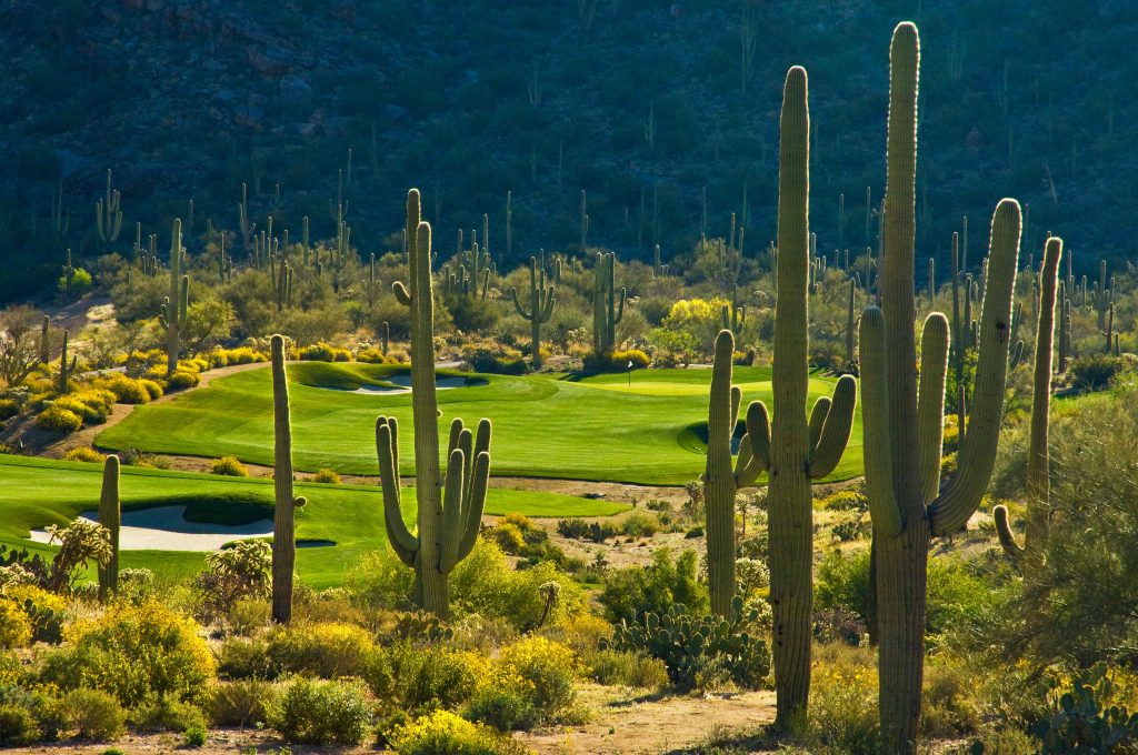 Tucson Golf-Dove Mountain