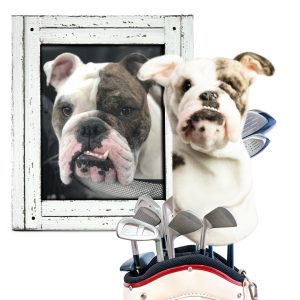 2018 holiday golf gift guide cuddle clone