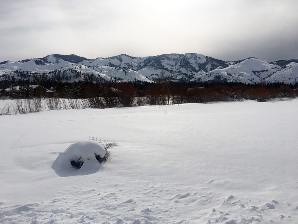 winter golf scene