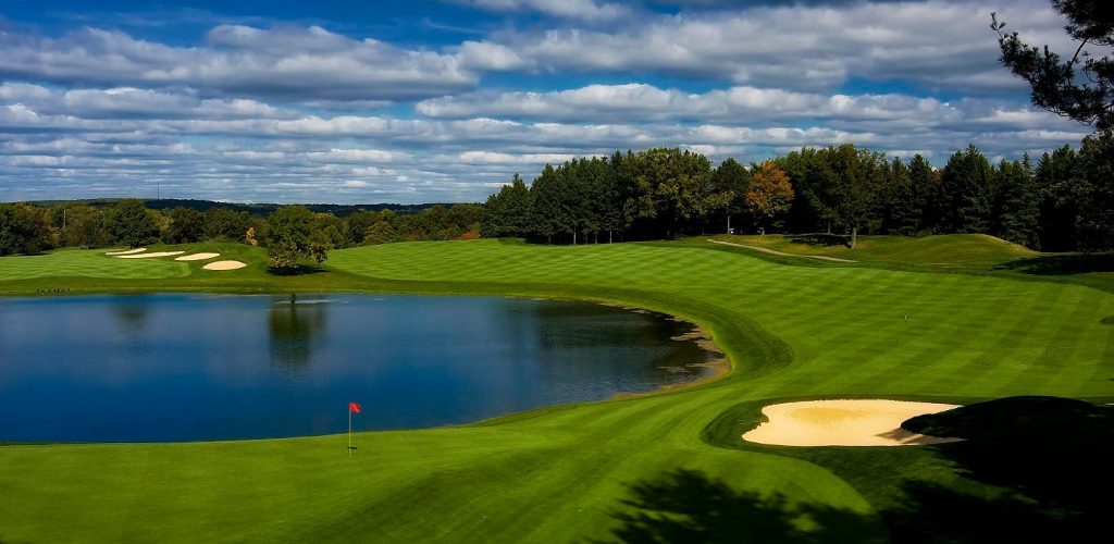 detroit golf shepherd’s hollow
