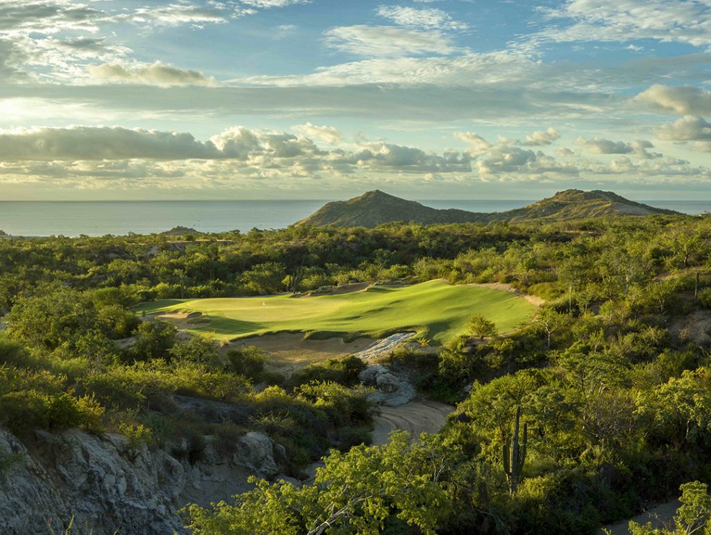 twin dolphin hole 11