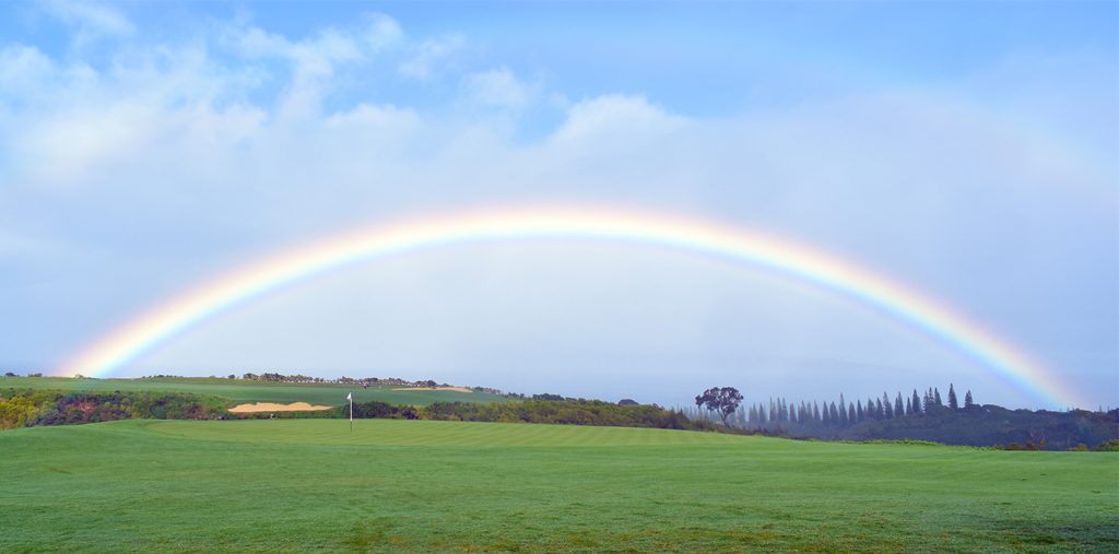 kapalua plantation rainbow