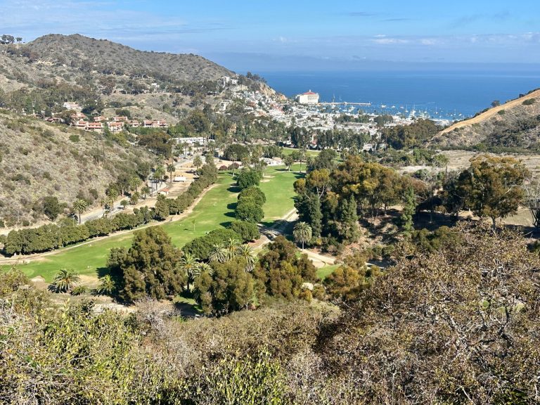 Catalina GC w_Avalon in background_©Robert Kaufman